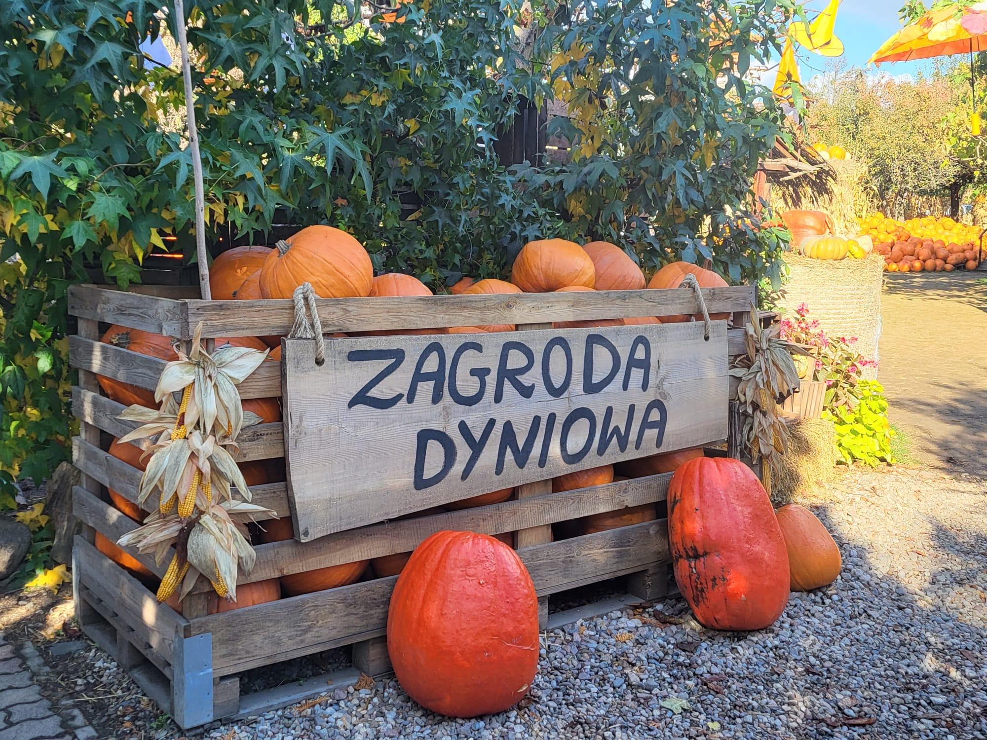 Zagroda dyniowa