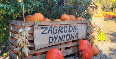 Zagroda dyniowa